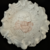 Cendrier Skull blanc beige – Image 2