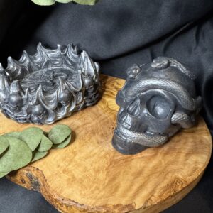 Serpents sur crâne